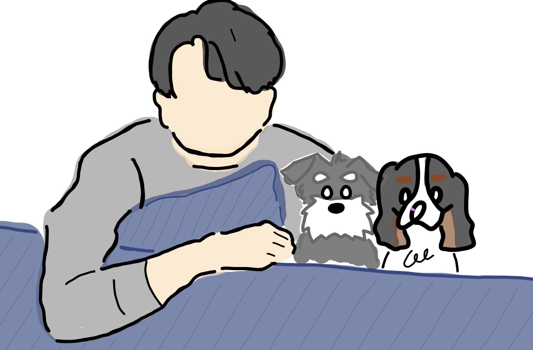 どんぺり